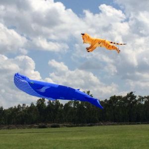 Urban_Live_Events_Kenya_Kite_Festival