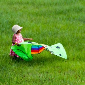 Urban_Live_Events_Kenya_Kite_Festival_kites_8
