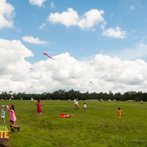 Urban_Live_Kenya_Kite_Festival_Kites_4