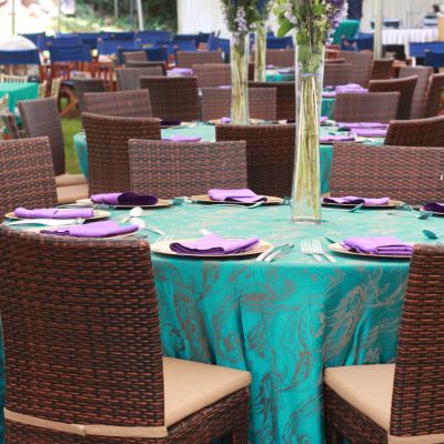 #peacockthemeparty #anniversarydecor #partydecor